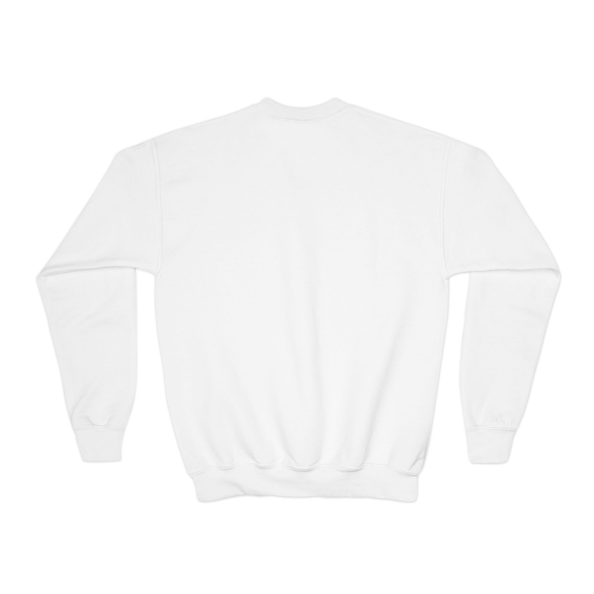 Youth Crewneck Sweatshirt – American Flag Crabs Graphic (Patriotic 4th of July Kids Crewneck)