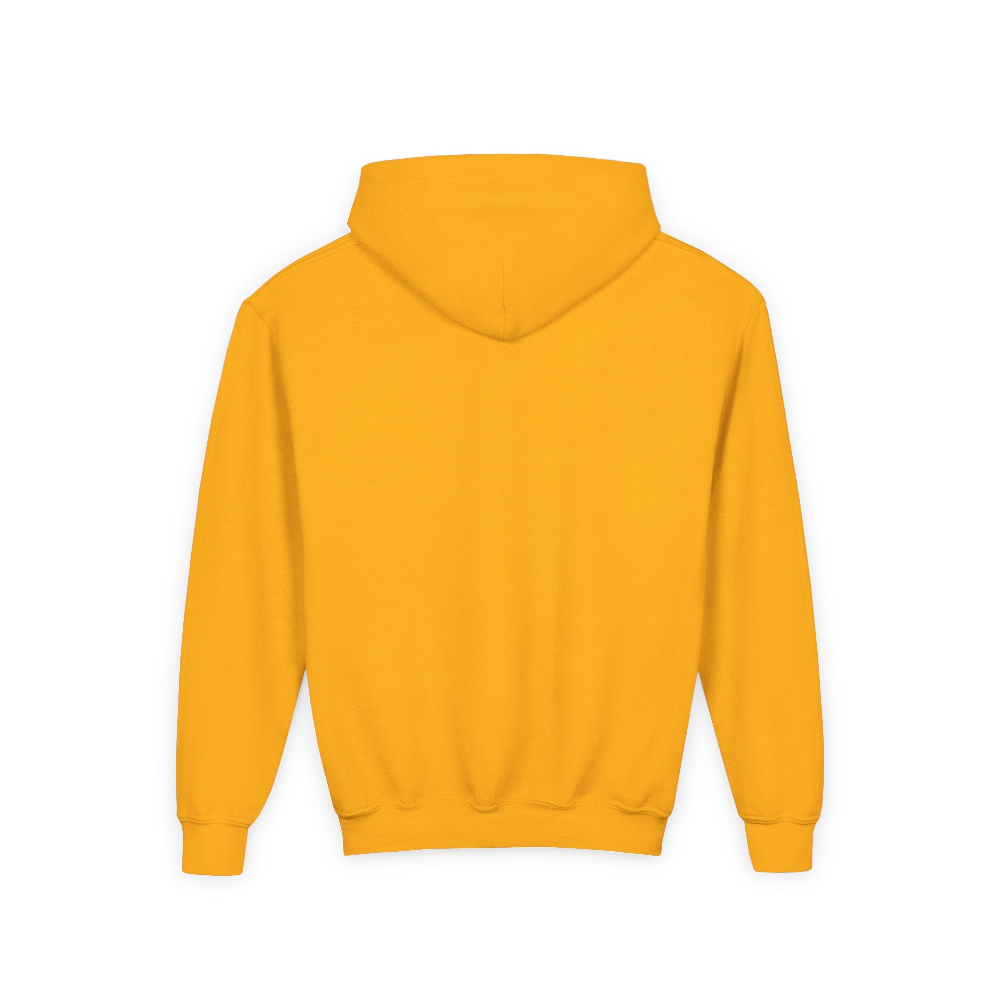 Youth Hoodie — "Celebrate Minds of All Kinds" Colorful Brain Awareness Pullover