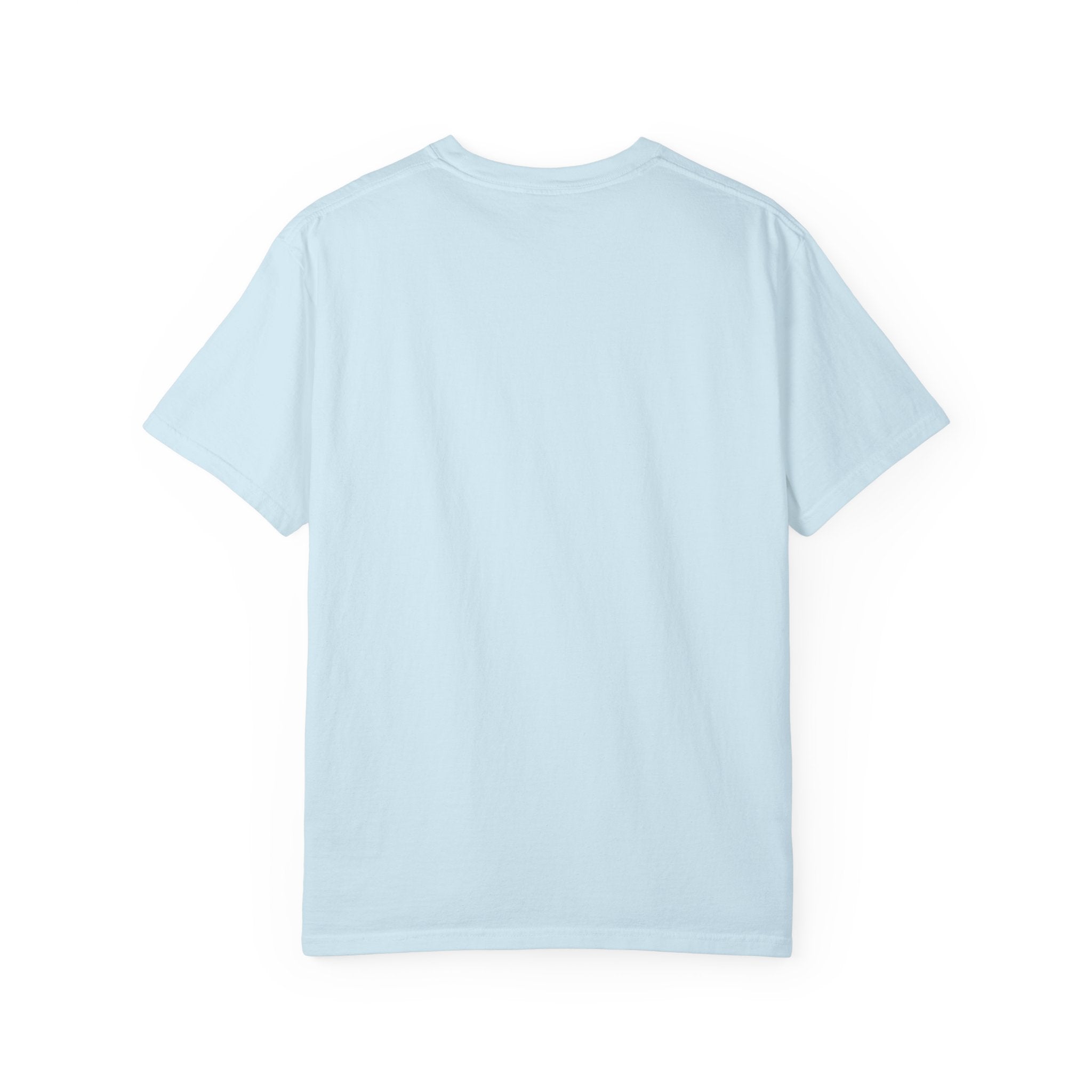 Funny Duck T-Shirt — "Sorry I'm Late I Was Dilly Dallying" Cartoon Tee