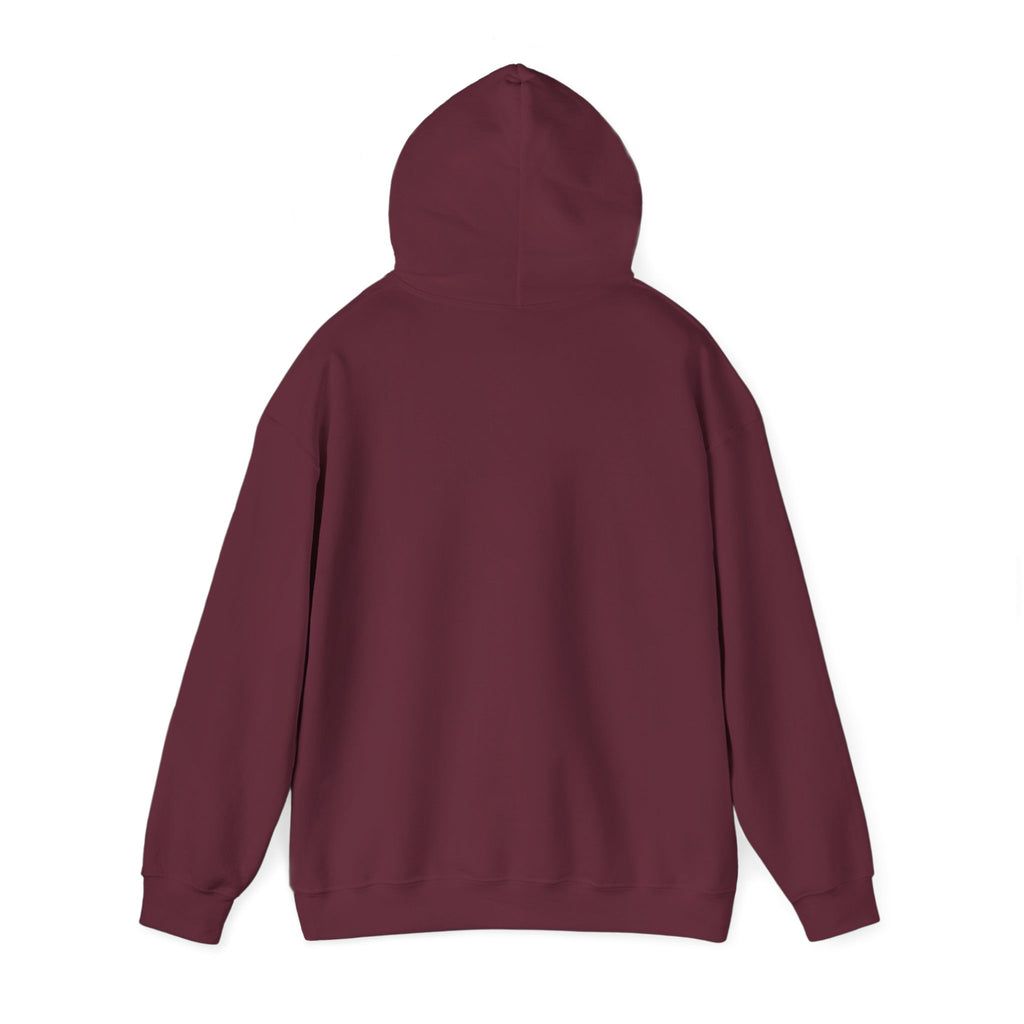 Book Lover Hoodie — “Just a Girl and Her Books” Cozy Reading Sweatshirt
