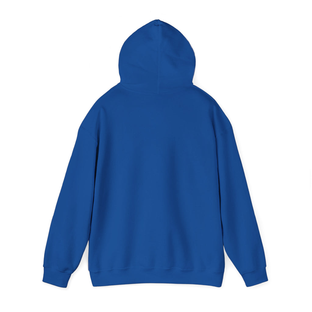Reader Hoodie - "I’m Not Ignoring You, I’m On Chapter 12" Literary Sweatshirt